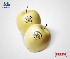 In tem dán hoa quả - DHQ08 In tem dán hoa quả - DHQ08