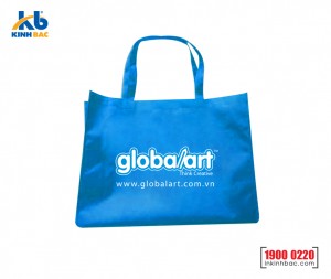 Túi hình hộp có hông - TVCH22