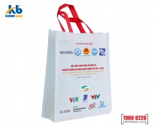 Túi hình hộp có hông - TVCH44 Túi hình hộp có hông - TVCH44