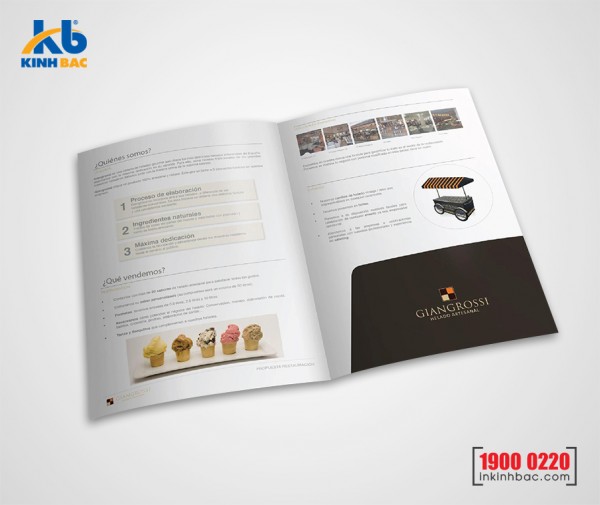 In kẹp file 2 mặt - C300gsm (pindo)